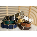 Biothane 1"Classic Buckle Collar