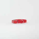 Biothane 5/8" Classic Buckle Collar