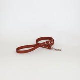 Biothane 5/8" Classic Leash