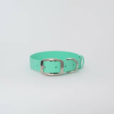 Biothane 1"Classic Buckle Collar