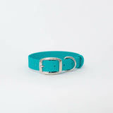 Biothane 1"Classic Buckle Collar