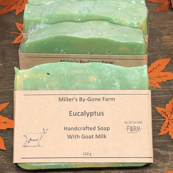Goat Milk Soap - Eucalyptus and Tea Tree Oil - HandmadeSask