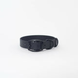 Biothane 1"Classic Buckle Collar