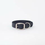 Biothane 1"Classic Buckle Collar