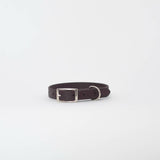 Biothane 5/8" Classic Buckle Collar