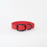 Biothane 1"Classic Buckle Collar