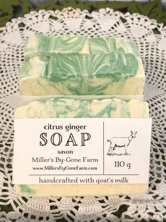 Goat Milk Soap Citrus Ginger - HandmadeSask