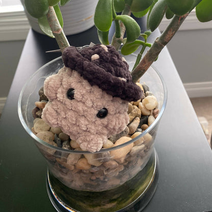 Mushroom Boi