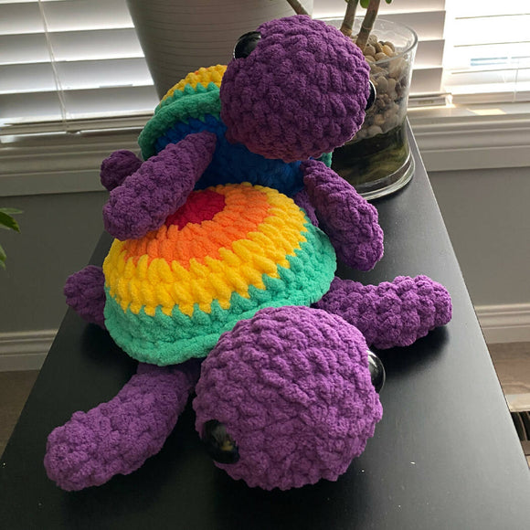Rainbow Turtle