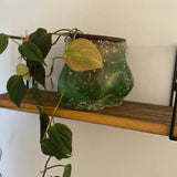 Booty Planter