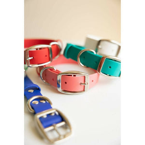 Biothane 1"Classic Buckle Collar